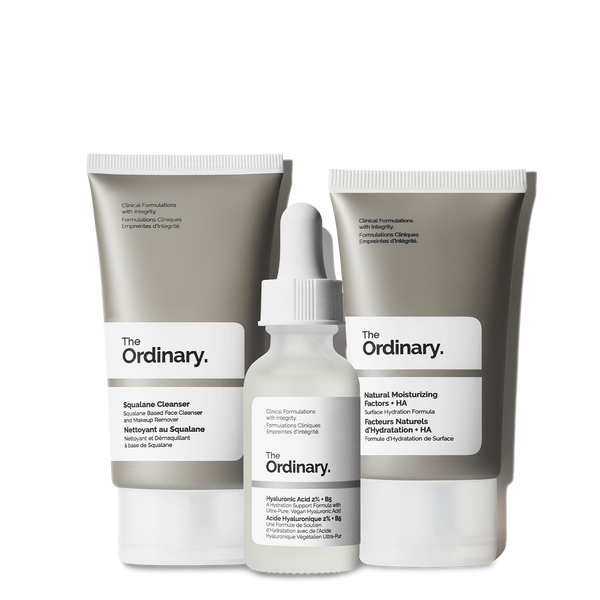 The Ordinary The Daily Set